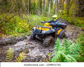 A Man Paves The Route On The Phone. ATV. A Man Rides Through The Forest On An All-terrain Vehicle. Quad Bike. In The Woods. Trip To The Forest On ATV. 