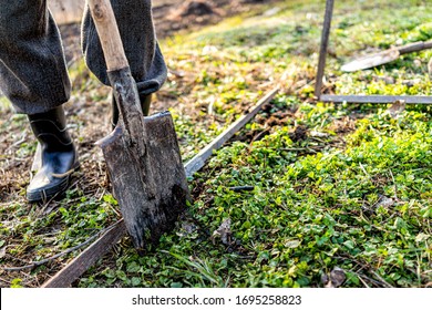 Man People Person Working On Vegetable Winter Garden For Post Raised Bed Cold Frame In Ukraine Dacha And Closeup Of Shovel Spade Digging