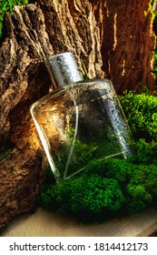 Man Perfume Bottle With Water Drops On Wooden Tree Bark Green Moss Forest Background. Transparent Glass Cologne Aroma Template. Luxury Product Package Closeup. Natural Mockup Fragrance Bottle Clipart.