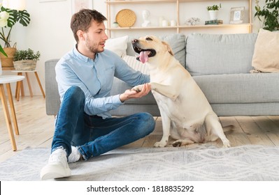 Man with a pet dog friend sitting on floor in living room. Happy guy teaching cute puppy giving paw shaking hand, human and animal friendship for comfort and support, playful life companion concept