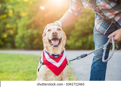 Man pets dog while out for a walk - Shutterstock ID 1041712465
