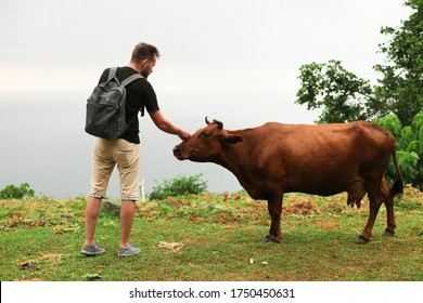 Man pets a red cow in mountains of Georgia, Kvariati.  Cattle breeding. Animal care. - Powered by Shutterstock