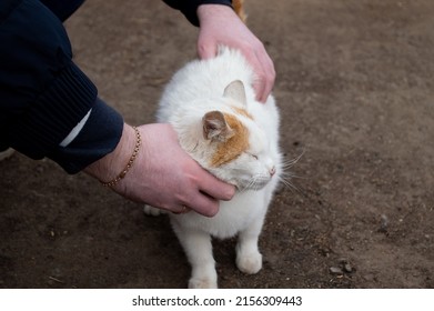 Man Pets A White Cat Outside