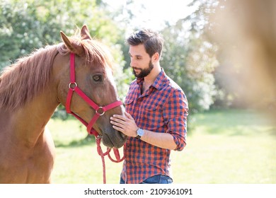 Man Petting Chestnut Horse Muzzle