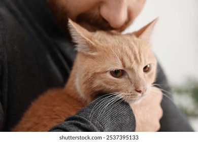 Man petting cute ginger cat at home, closeup - Powered by Shutterstock