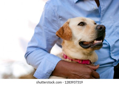Man petting his dog. - Powered by Shutterstock