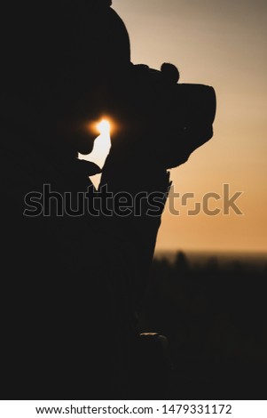 Similar – A girl from the 2019 Queensland National Team watches the sunset in Adelaide.