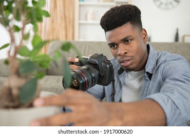 man photographing a plant indoors - Powered by Shutterstock