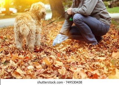 Man  Picking Up / Cleaning Up Dog Droppings