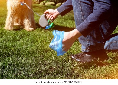 Man  Picking Up, Cleaning Up Dog Droppings