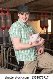 Man, Pig, Young Farmer Is Holding Piglets, Pig