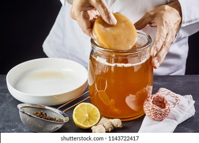 Man placing the scoby or fungus in a glass jar of sweetened black tea to start the fermentation process to make kombucha