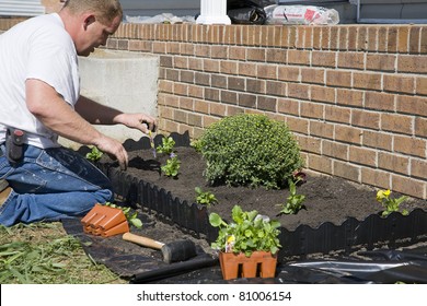 Man Planting Flowers In Garden, Dressing Up Landscape To Help Sell Home
