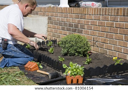 Similar – Image, Stock Photo Dressing up the garden for spring
