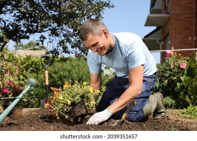 Man Planting Flowers Outdoors On Sunny Day. Gardening Time