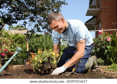 Man planting flowers outdoors on sunny day. Gardening time