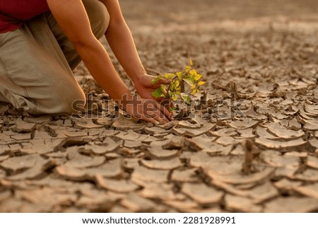 Man planting a green tree on parched soil or dry earth to recovery environment from Global warming. Climate change and Drought solution.