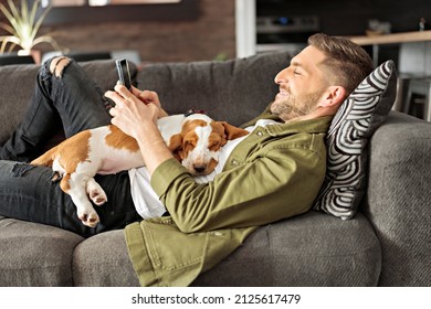 A Man Playing With basset Pet Dog At Home sofa.