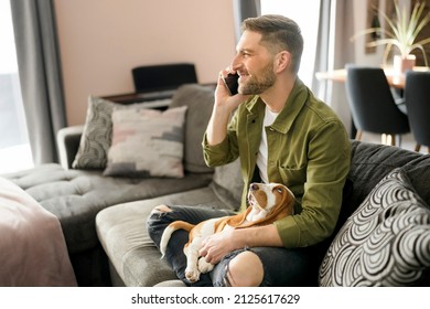 A Man Playing With Basset Pet Dog At Home Sofa While Talking On Phone