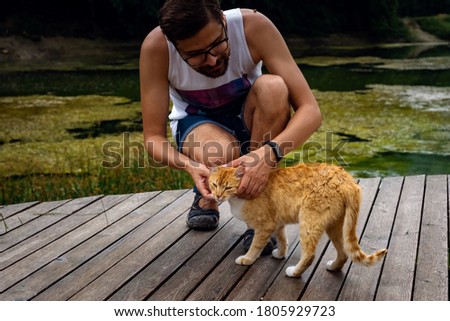 Similar – Foto Bild Rot getigerte Katze am Uferstrand