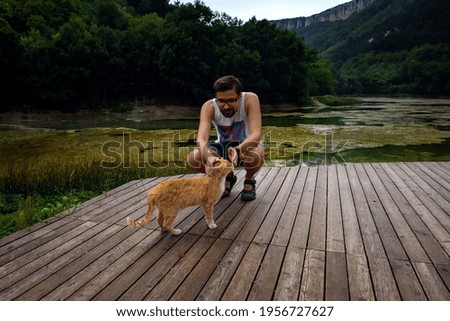 Similar – Foto Bild Rot getigerte Katze am Uferstrand