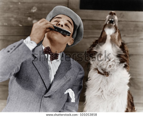 Man Playing Harmonica Howling Dog Stock Photo Edit Now 101053858