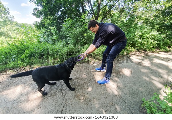 Man Playing His Dog Black Labrador Stock Photo (Edit Now) 1643321308