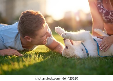 Man playing with puppy on grass with girlfriend, pet bonding best friend healthy outdoor lifestyle