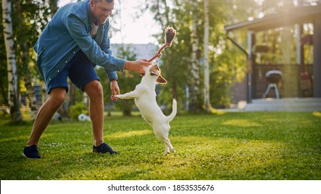 Man Plays With His Smooth Fox Terrier Dog Outdoors. He Pets And Teases His Puppy With His Favourite Toy. Idyllic Summer House.