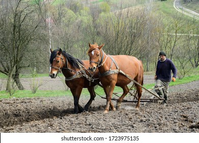 3,461 Plowing Horse Images, Stock Photos & Vectors | Shutterstock