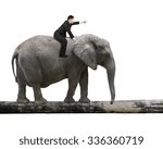 Man with pointing finger gesture riding elephant walking on tree trunk, isolated on white.