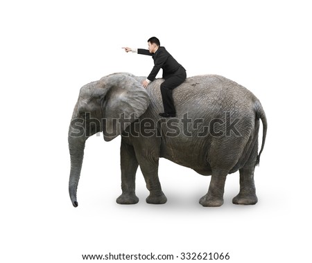 Man with pointing finger gesture riding on walking elephant, isolated on white.