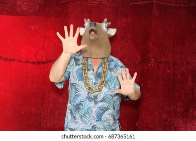 A man poses for photos in a Photo Booth. A man wears a Deer Head mask and poses like a deer caught in car headlights in a Photo Booth.