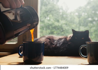 Man pouring coffee from french press into the coffee mug, black cat and window in background
 - Powered by Shutterstock