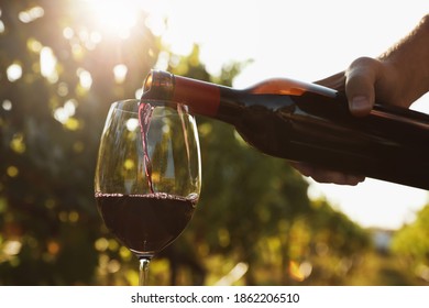 Man pouring wine from bottle into glass at vineyard, closeup - Powered by Shutterstock