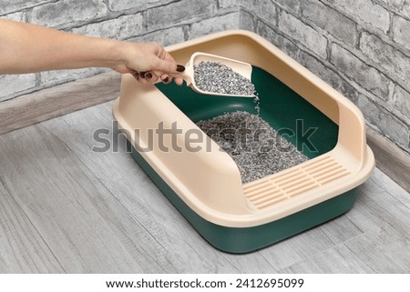 man pours fresh litter into cat litter. litter pours into the cat's litter box. domestic cat care. the filler is falling out