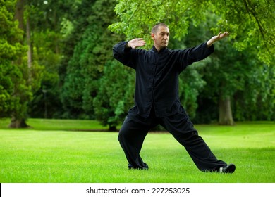 Man Practicing Tai Chi In The Park.