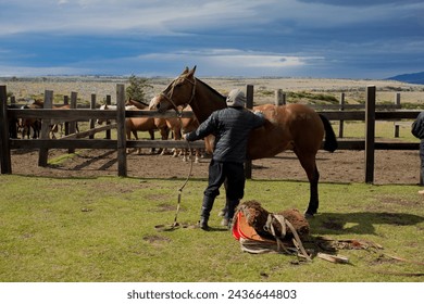 Man preparing horse for riding  - Powered by Shutterstock