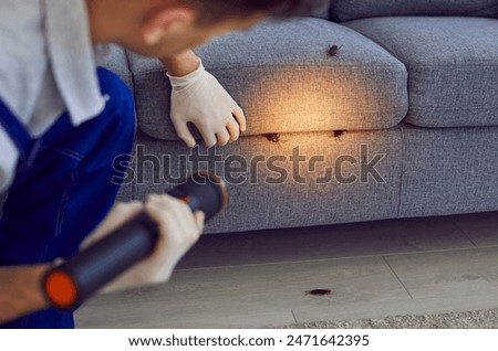 Man, professional pest control worker examining a sofa in the living room with a flashlight, uncovering cockroaches. Thorough inspections help maintain a insect-free domestic surroundings.