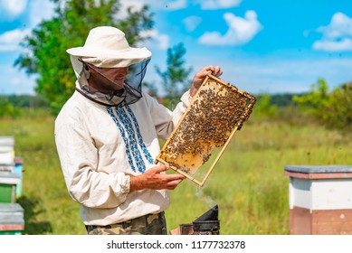 12,023 Bee keeping Images, Stock Photos & Vectors | Shutterstock