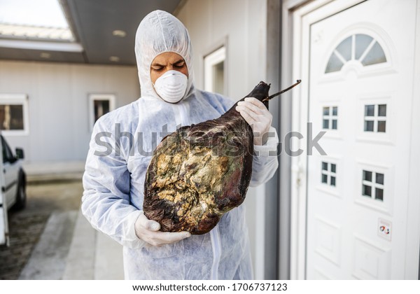 Man with protective suit and mask holding\
bad meat ham, rotten meat. Infection prevention and control of\
epidemic. World pandemic.  World pandemic\
