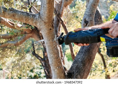 Man prunes a tree in the garden with reciprocating saw. Garden cleaning in spring. Close up - Shutterstock ID 1968347392