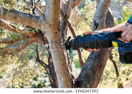 Man prunes a tree in the garden with reciprocating saw. Garden cleaning in spring. Close up