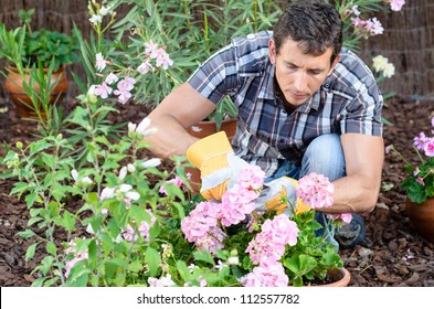 Man Pruning Flowers And Gardening. Male Home Gardener Leisure. Caucasian Young Model And Plants.