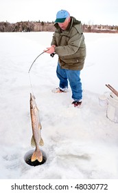 Man Pulling A Big Pike From Under The Ice