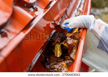 A man pulls a large pile of wet autumn leaves from a clogged gutter during a rainstorm. Gutter cleaning.