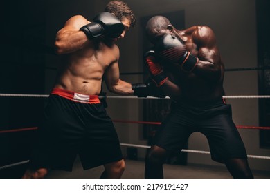 Man Punching The Stomach Of His Opponent During A Boxing Match. Two Male Boxers Fighting With Gloves In A Boxing Ring.