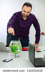 Man In A Purple Shirt Is Feeding Fish In An Aquarium In The Office.