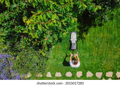 Man Pushing Lawn Mower For Cutting Green Grass In Garden With Sunlight At Summer. Aerial View.