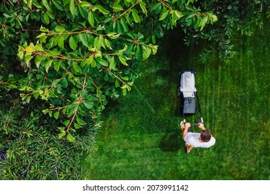 Man Pushing Lawn Mower For Cutting Grass In Garden With Sunlight At Summer. Aerial View.